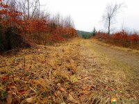 Naturschutzgebiet_Holthauser_Bach_06