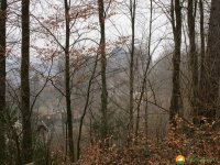 Naturschutzgebiet_Holthauser_Bach_08