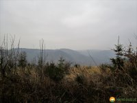 Naturschutzgebiet_Holthauser_Bach_10