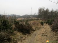 Naturschutzgebiet_Holthauser_Bach_12