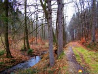 Naturschutzgebiet_Holthauser_Bach_18