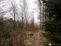 Naturschutzgebiet_Holthauser_Bach_19