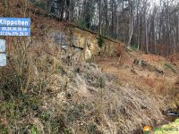 Naturschutzgebiet_Holthauser_Bach_20