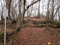 Naturschutzgebiet_Holthauser_Bach_23