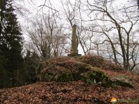 Naturschutzgebiet_Holthauser_Bach_24