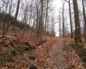 Naturschutzgebiet_Holthauser_Bach_04