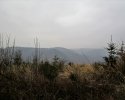 Naturschutzgebiet_Holthauser_Bach_10