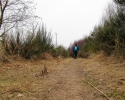 Naturschutzgebiet_Holthauser_Bach_11