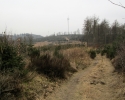 Naturschutzgebiet_Holthauser_Bach_12