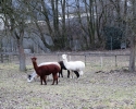 Naturschutzgebiet_Holthauser_Bach_14