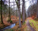 Naturschutzgebiet_Holthauser_Bach_18