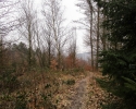 Naturschutzgebiet_Holthauser_Bach_19