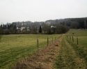 Naturschutzgebiet_Holthauser_Bach_22