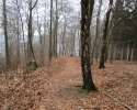 Naturschutzgebiet_Holthauser_Bach_25