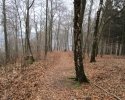 Naturschutzgebiet_Holthauser_Bach_25