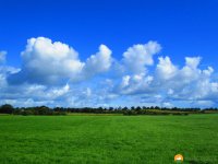 Nord_Ostsee_Wanderweg_Albersdorf_Elsdorf_03