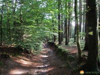 Nord_Ostsee_Wanderweg_Albersdorf_Elsdorf_01