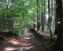 Nord_Ostsee_Wanderweg_Albersdorf_Elsdorf_01