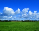 Nord_Ostsee_Wanderweg_Albersdorf_Elsdorf_03