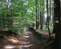 Nord_Ostsee_Wanderweg_Albersdorf_Elsdorf_01
