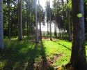 Nord_Ostsee_Wanderweg_Albersdorf_Elsdorf_02