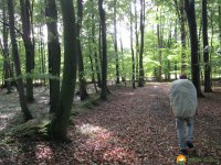 Nord_Ostsee_Wanderweg_Elsdorf_Westensee_01