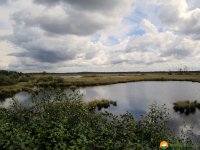 Nord_Ostsee_Wanderweg_Elsdorf_Westensee_07