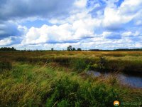 Nord_Ostsee_Wanderweg_Elsdorf_Westensee_10