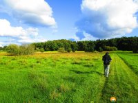 Nord_Ostsee_Wanderweg_Elsdorf_Westensee_15