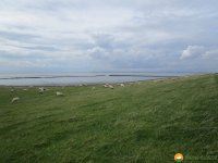 Nord_Ostsee_Wanderweg_Meldorf_Albersdorf_03