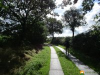 Nord_Ostsee_Wanderweg_Meldorf_Albersdorf_08
