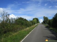 Nord_Ostsee_Wanderweg_Meldorf_Albersdorf_14