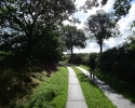 Nord_Ostsee_Wanderweg_Meldorf_Albersdorf_08