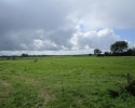 Nord_Ostsee_Wanderweg_Meldorf_Albersdorf_10
