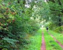 Nord_Ostsee_Wanderweg_Meldorf_Albersdorf_11