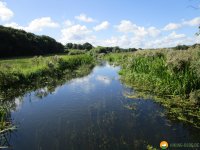 Nord_Ostsee_Wanderweg_Westensee_Kiel_09