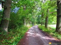 Nord_Ostsee_Wanderweg_Westensee_Kiel_11