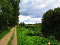 Nord_Ostsee_Wanderweg_Westensee_Kiel_12
