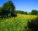Nord_Ostsee_Wanderweg_Westensee_Kiel_02