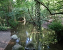 Nord_Ostsee_Wanderweg_Westensee_Kiel_05