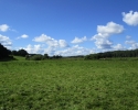 Nord_Ostsee_Wanderweg_Westensee_Kiel_08