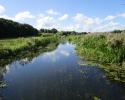 Nord_Ostsee_Wanderweg_Westensee_Kiel_09