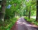 Nord_Ostsee_Wanderweg_Westensee_Kiel_11