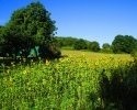Nord_Ostsee_Wanderweg_Westensee_Kiel_02