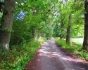 Nord_Ostsee_Wanderweg_Westensee_Kiel_11