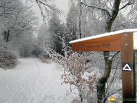 Nordhelle_Herveler_Bruch_03