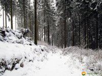 Nordhelle_Herveler_Bruch_06