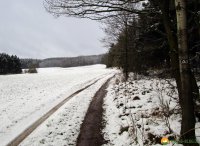 Nordhelle_Herveler_Bruch_09