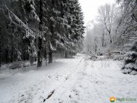 Nordhelle_Herveler_Bruch_20