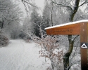Nordhelle_Herveler_Bruch_03